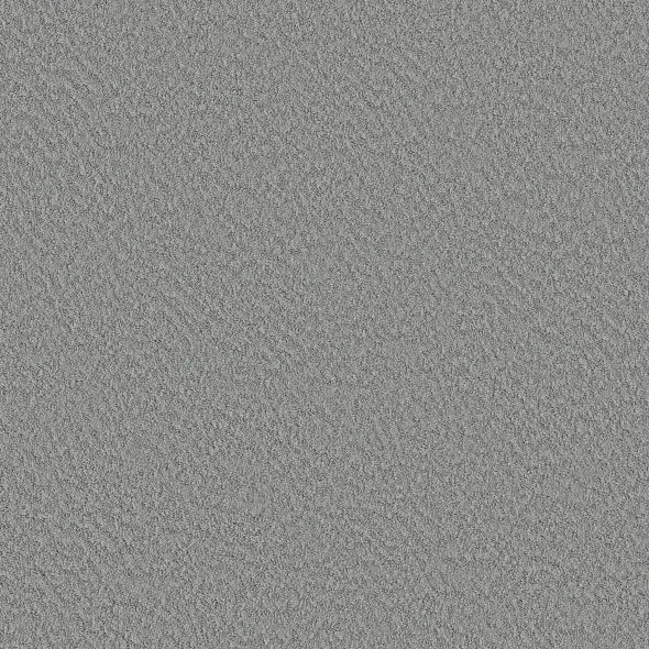 Shaw Floors - Carpet - Foundations Collection - Alluring Canvas - Sentimental