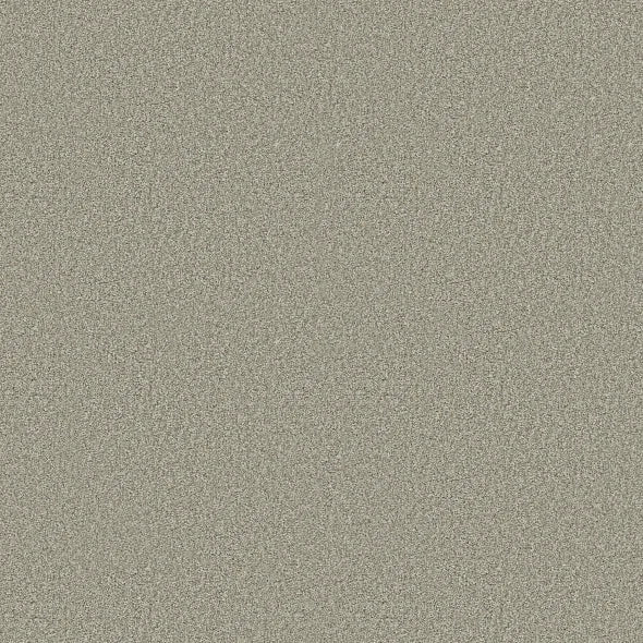 Shaw Floors - Carpet - COMFORTING II - Sage Brush
