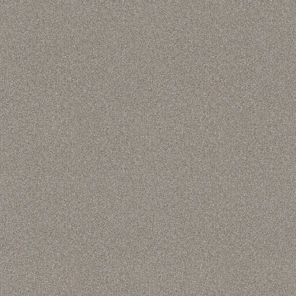 Shaw Floors - Carpet - Simply The Best - Attainable - Soft Fleece