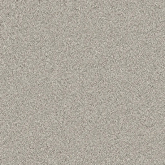Shaw Floors - Carpet - Foundations Collection - Alluring Canvas - Split Sediment