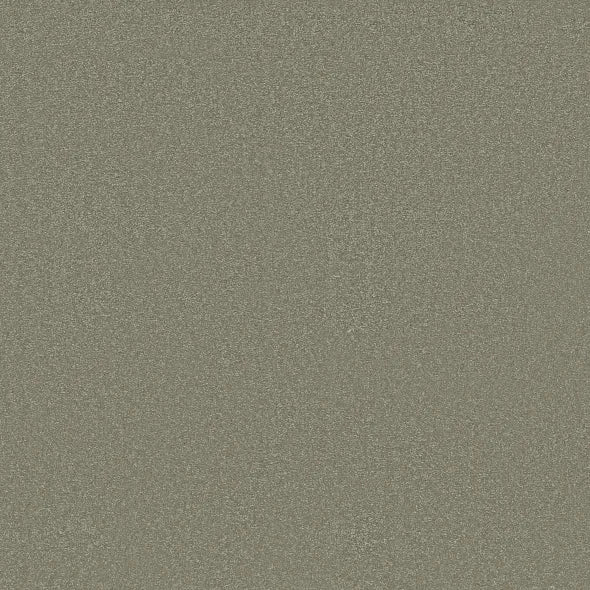 Shaw Floors - Carpet - Classics Collection - Awaken Spirit II - 15' - Silver Sage