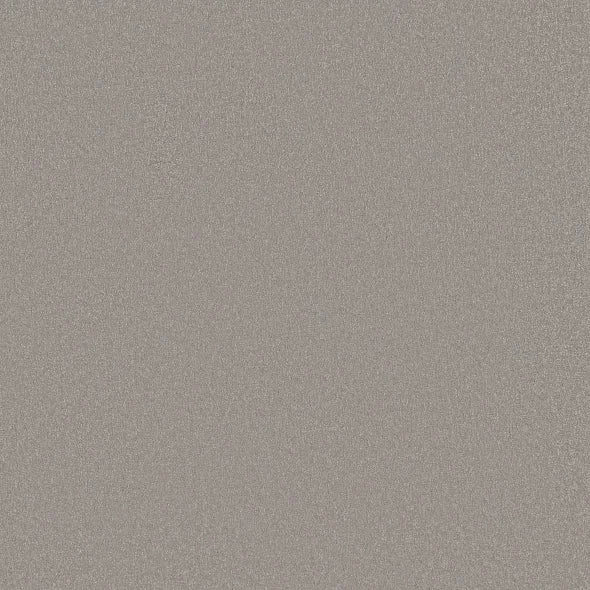 Shaw Floors - Carpet - Classics Collection - Awaken Spirit I 12' - Subtle Touch