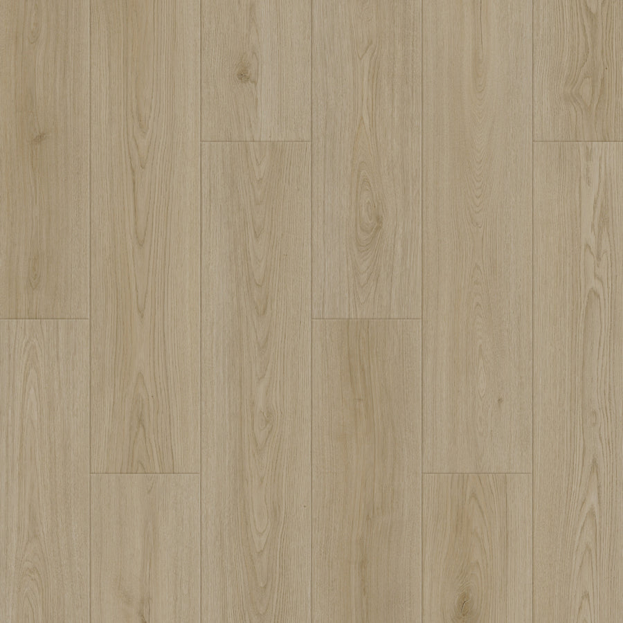 Caledon - Aqua X Collection - Sand Dune
