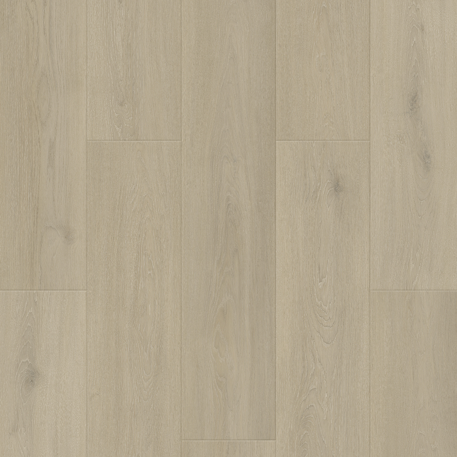 Caledon - Aqua X Collection - Marine Mist