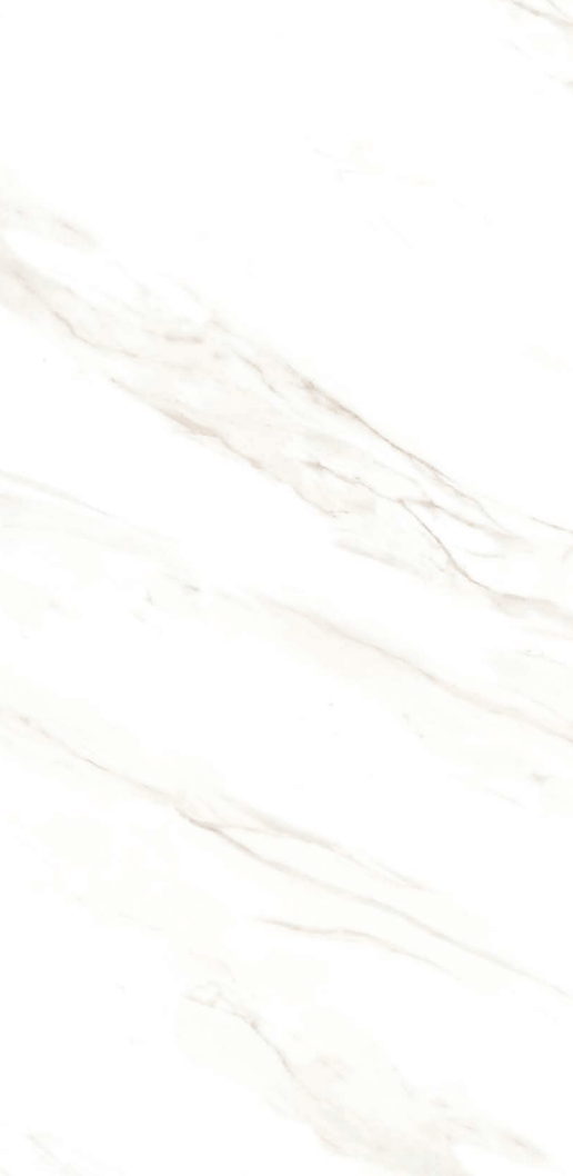 OLYMPIA TILE + STONE - East Series - Porcelain Tile - Rivera White - 24" x 24"