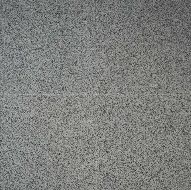 MSI - Granite Tile - Bianco Catalina - Polished Finish - 12" x 12"
