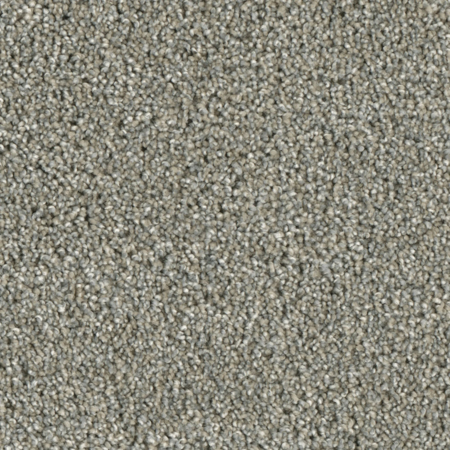 Primco - Estates Carpet - Grand Style Collection - Sharpness