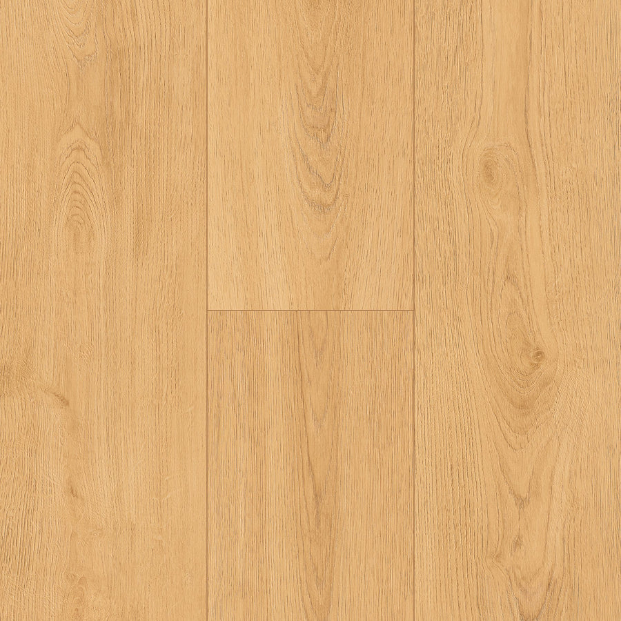 InHaus - Ceramin® - Icon Collection - Sterling