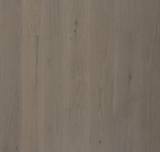 BIYORK - Nouveau 7 Collection - Sunlit Ivory