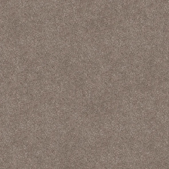 Shaw Floors - Carpet - Simply The Best - TRUSOLUTIONS III - Taupe Dream