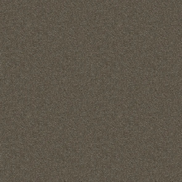 Shaw Floors - Carpet - Simply The Best - Attainable - Urban Loft