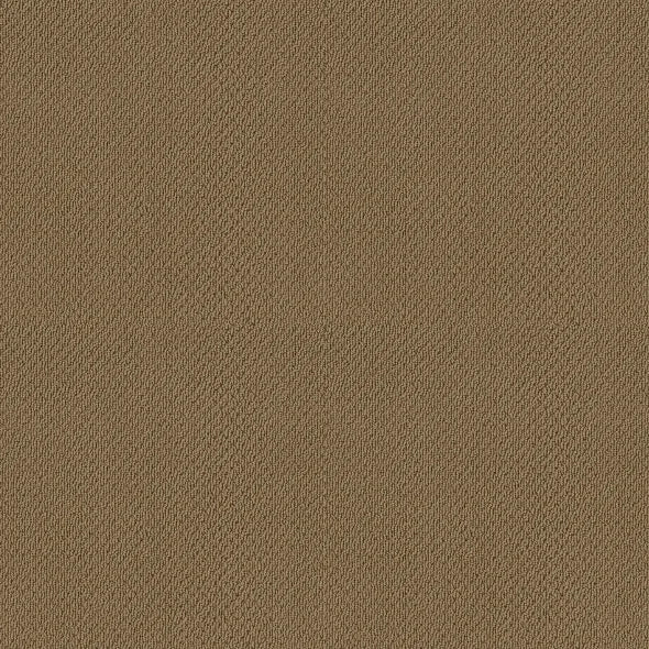 Shaw Floors - Carpet- Foundations Collection - Warmth