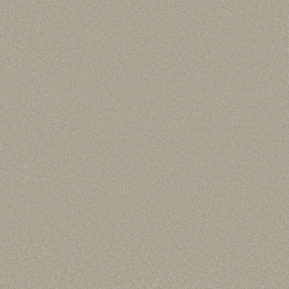 Shaw Floors - Carpet - Classics Collection - Awaken Spirit I 12' - Whiskers