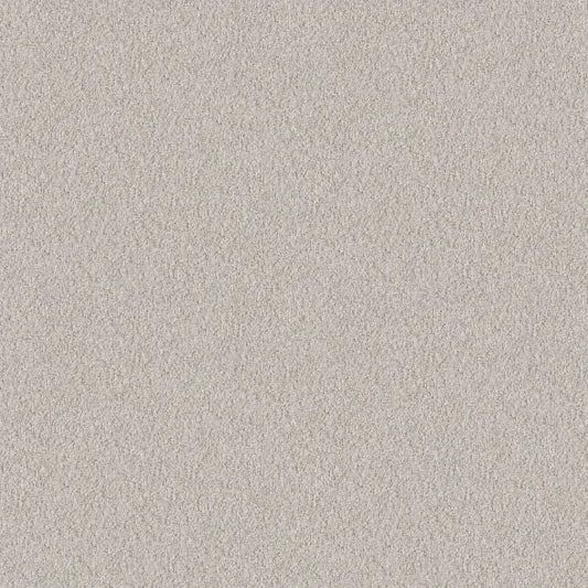 Shaw Floors - Carpet - Foundations Collection - Alluring Canvas - Winters Dawn