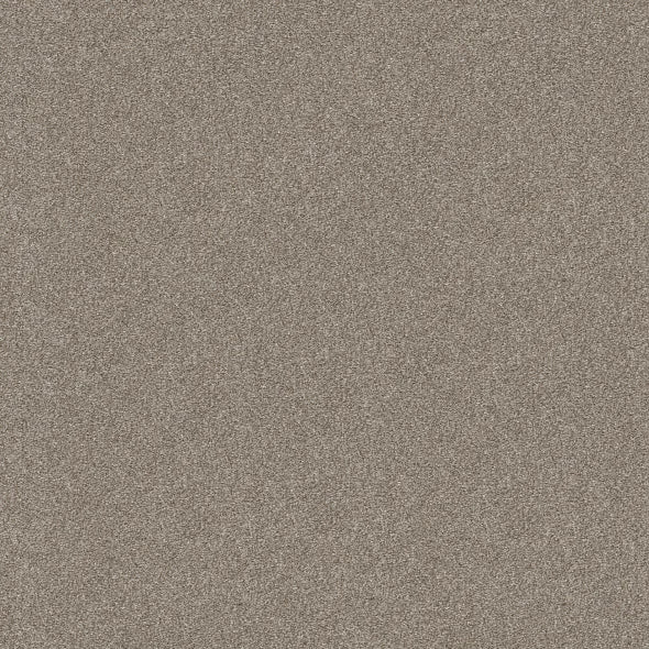 Shaw Floors - Carpet - Simply The Best - Attainable - Winter Dunes