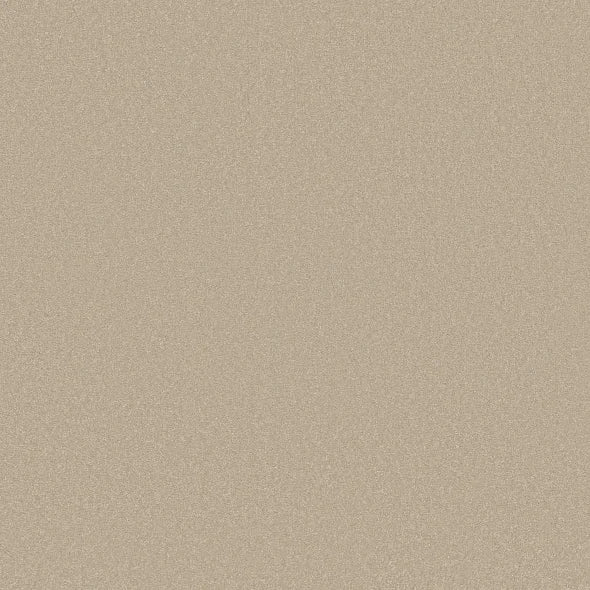 Shaw Floors - Carpet - Classics Collection - Awaken Spirit II - 15' - Windfresh