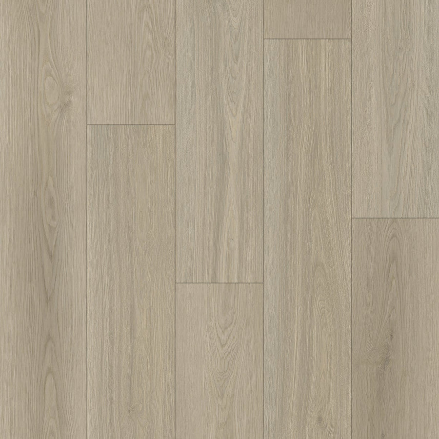 TAIGA - HydroXpert Collection - White Clay