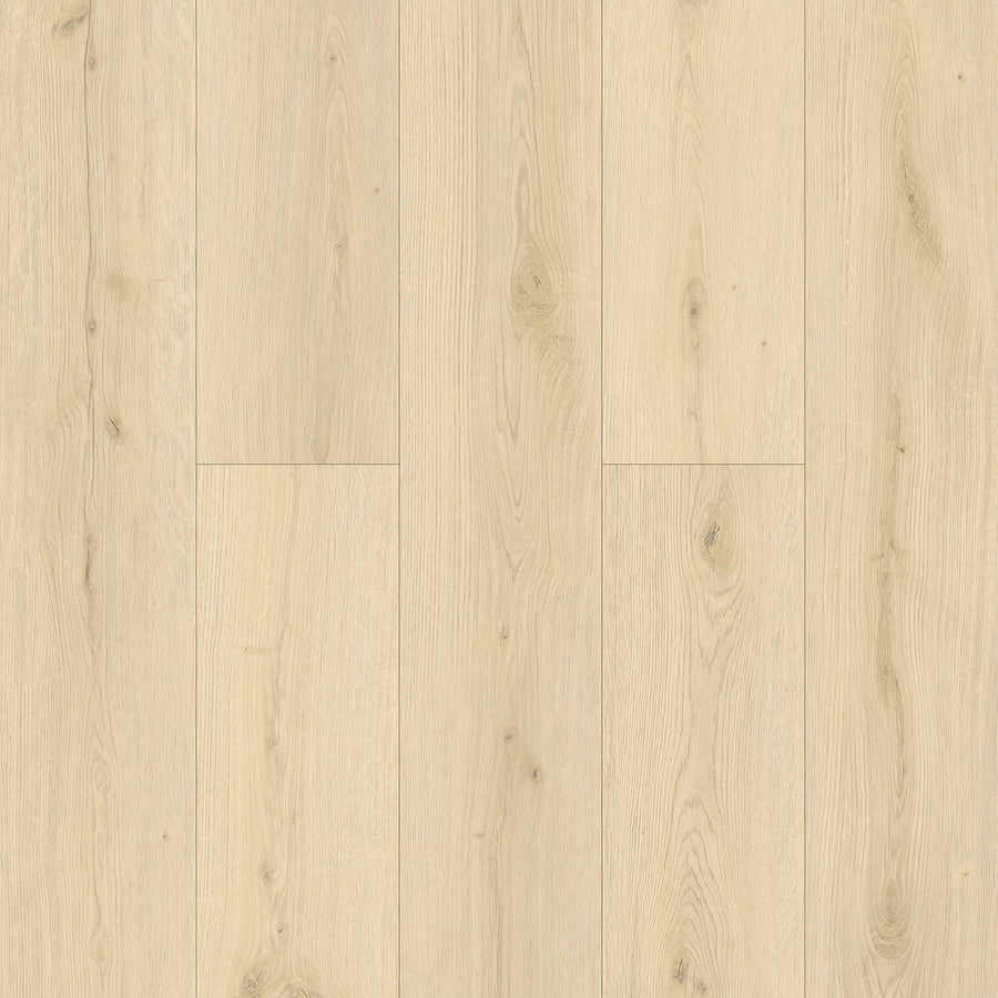TAIGA - HydroXpert Collection - Wild Oak