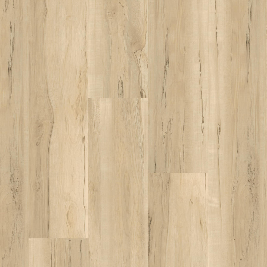 MSI - Nove Plus Collection - Akadia - 9" x 48"