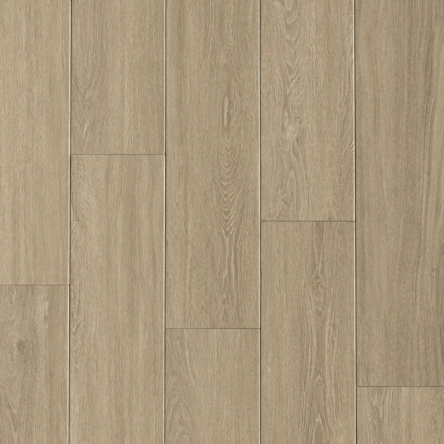 MSI - Wayne Parc™ Reserve Collection - Andaz - 9” x 72”