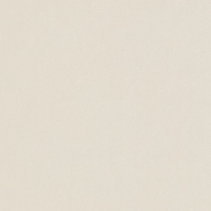 OLYMPIA TILE + STONE - Unicolour HV Series - Porcelain Tile - Beige - 24" x 24"
