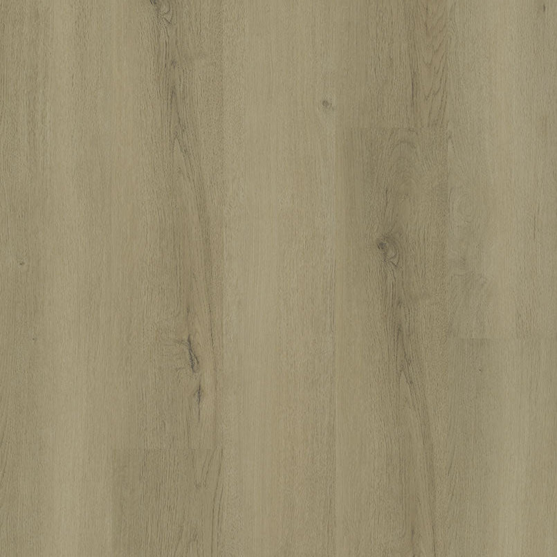 MSI Surfaces - Ashton 2.0 ™ Collection - Benton Blonde