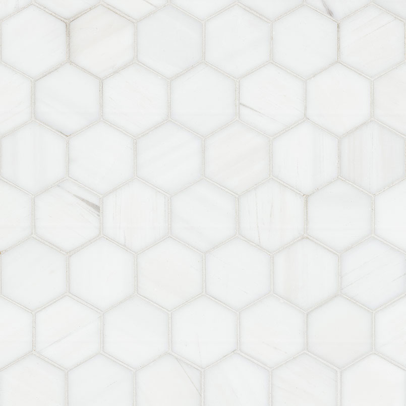 MSI - Bianco Dolomite Collection - 2" Hexagon - Polished Finish