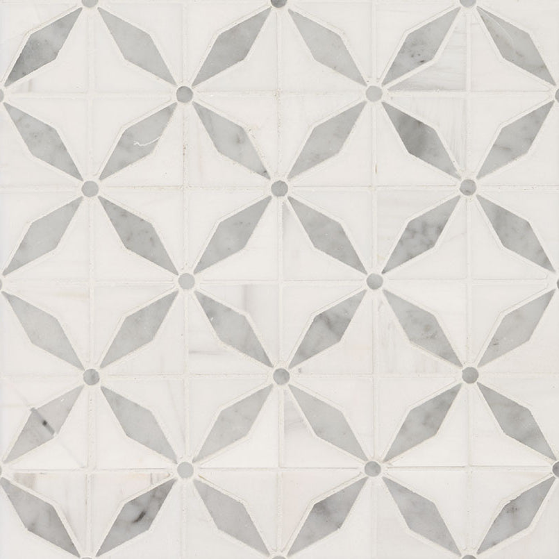 MSI - Bianco Dolomite Collection - Starlite - Polished Finish