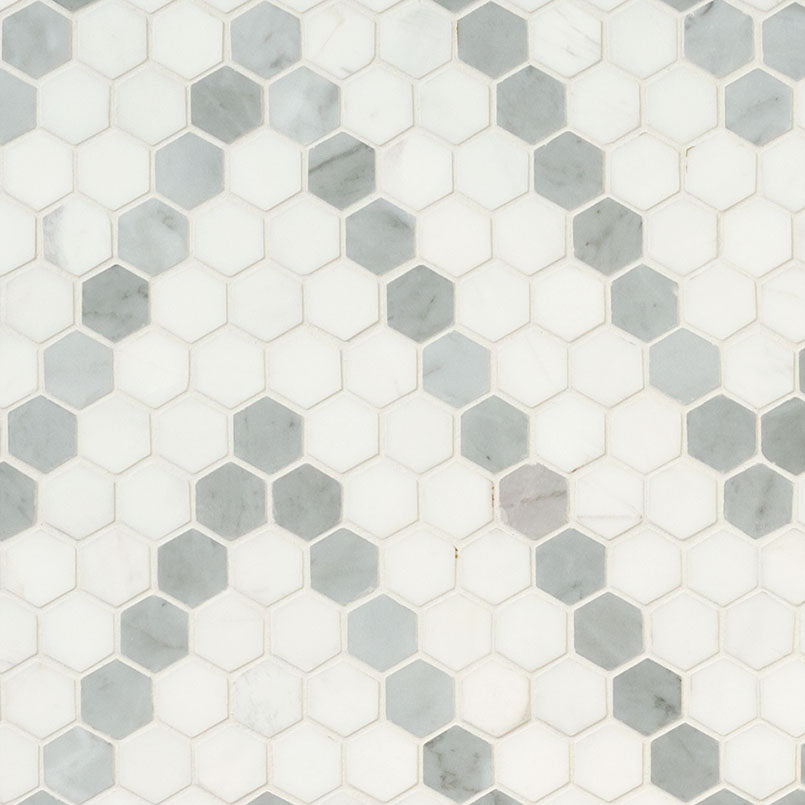 MSI - Bianco Dolomite Collection - Bianco Dolomite Sazi Polished - 1"
