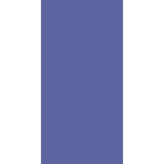 OLYMPIA TILE + STONE - New Colors Series - Porcelain Tile - Blue - 12" x 24"