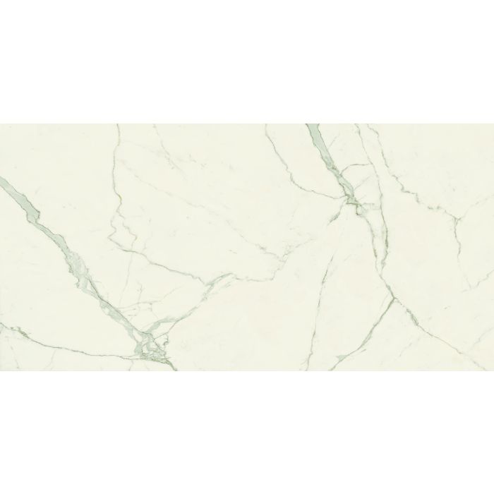 OLYMPIA TILE + STONE - Marmi Europa Series - Porcelain Tile - Calacatta - 24" x 48"