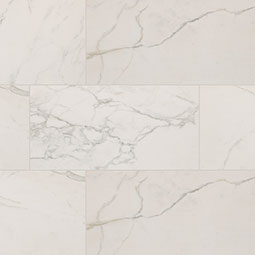 MSI - REGALLO CALACATTA ISLA MATTE - Tile - 24" x 48"