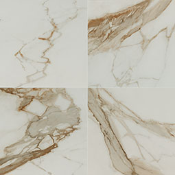 MSI - REGALLO CALACATTA MARBELLA MATTE - Tile - 24" x 24"