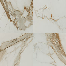 MSI - REGALLO CALACATTA MARBELLA POLISHED - Tile - 24" x 24"