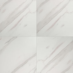 MSI - Pietra Calacatta 24X24 Polished - Tile - 24" x 24"