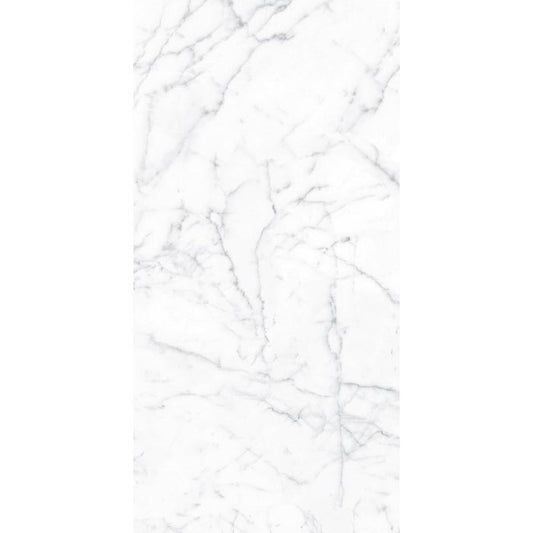 OLYMPIA TILE + STONE - Eterna Series - Porcelain Tile - Carrara Gioia - 24" x 48"