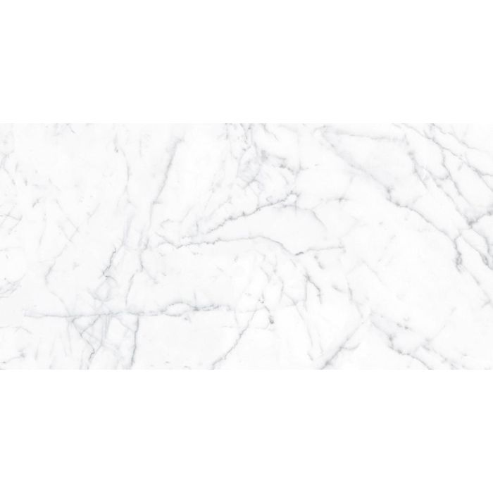 OLYMPIA TILE + STONE - Eterna Series - Porcelain Tile - Carrara Gioia - 24" x 48"