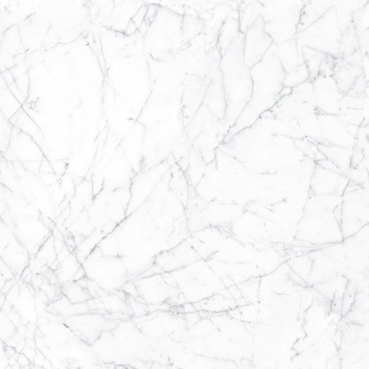 OLYMPIA TILE + STONE - Eterna Series- Porcelain Tile - Carrara Gioia - 24" x 24"