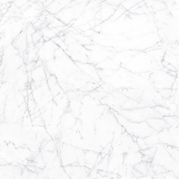 OLYMPIA TILE + STONE - Eterna Series- Porcelain Tile - Carrara Gioia - 24" x 24"