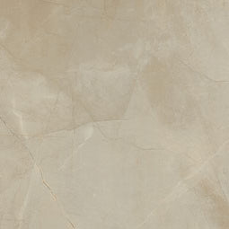MSI - SANDE CREAM MATTE - Tile - 48" x 48"