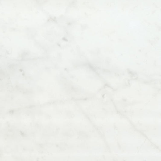OLYMPIA TILE + STONE - Eterna Series - Porcelain Tile - Carrara White - 12" x 24"