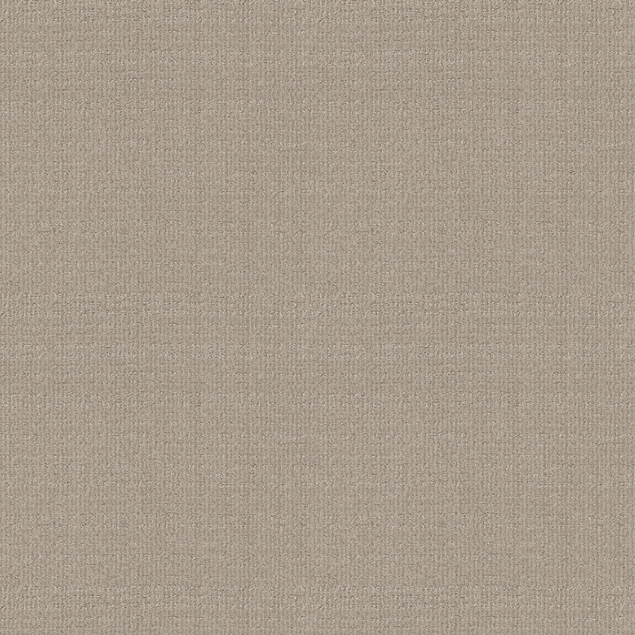 Shaw Floors - Carpet - Classics Collection - Sensible Now - 12' - Studio Taupe