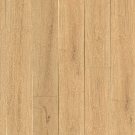 MSI - Wayne Parc™ Reserve Collection - Elwood - 9” x 72”