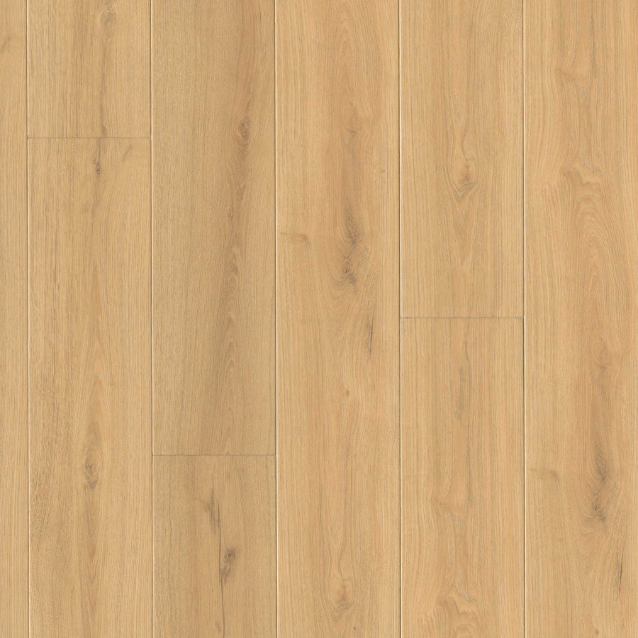 MSI - Wayne Parc™ Collection - Elwood - 9” x 60”