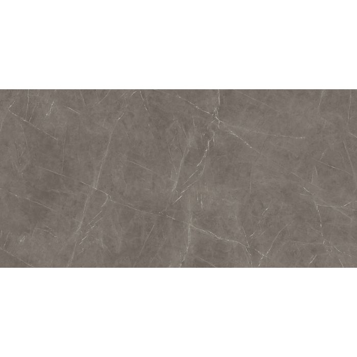 OLYMPIA TILE + STONE - Marmi Europa Series - Porcelain Tile - Grey Stone - 24" x 48"