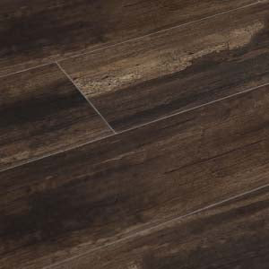 The Glacier Collection - Polar