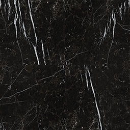 MSI - REGALLO MARQUINA NOIR POLISHED - Tile - 24" x 24"