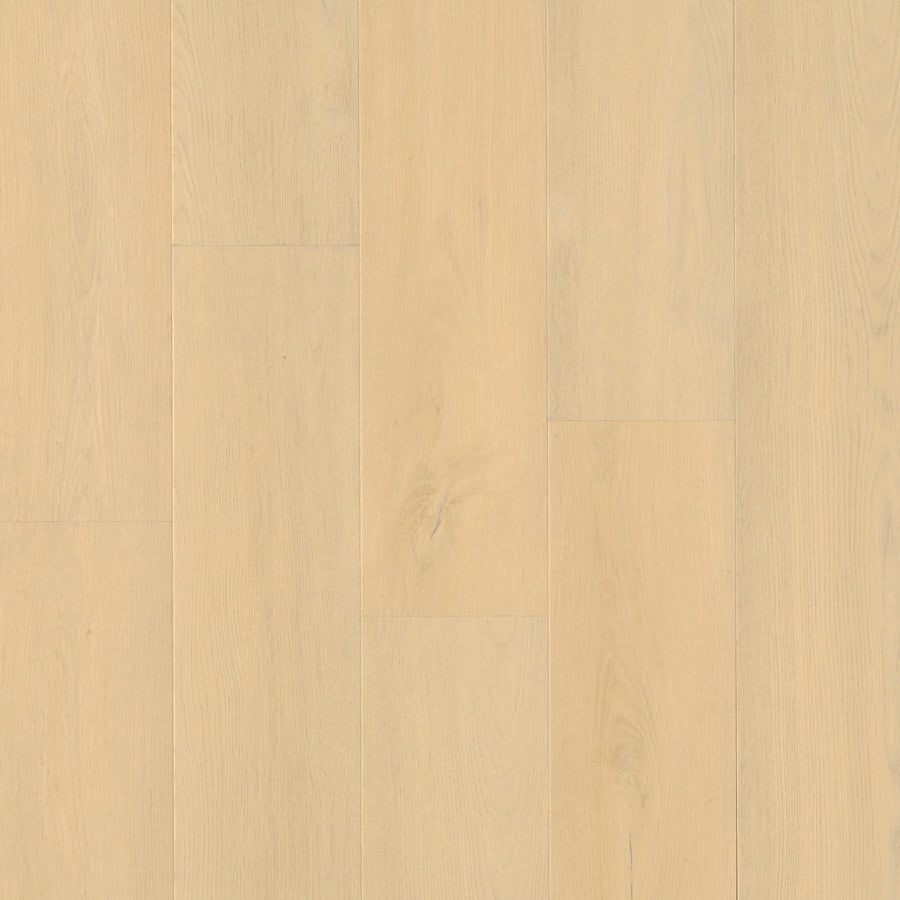 MSI - Wayne Parc™ Collection - Mellshire - 9” x 60”