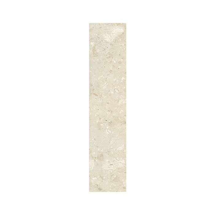 OLYMPIA TILE + STONE - Marble Series - Tile - Threshold Perlato Riveiera - 1" x 12"