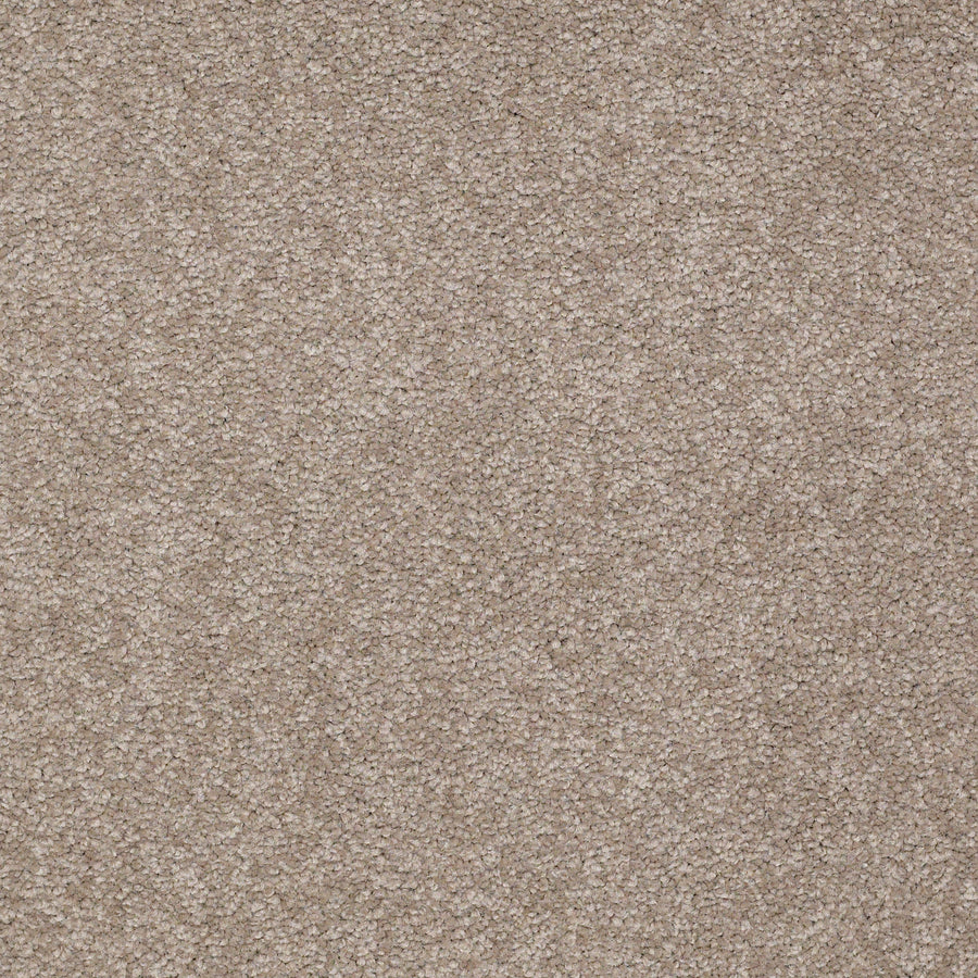 Shaw Floors - Carpet - Sandy Hollow I - 15' - Chinchilla